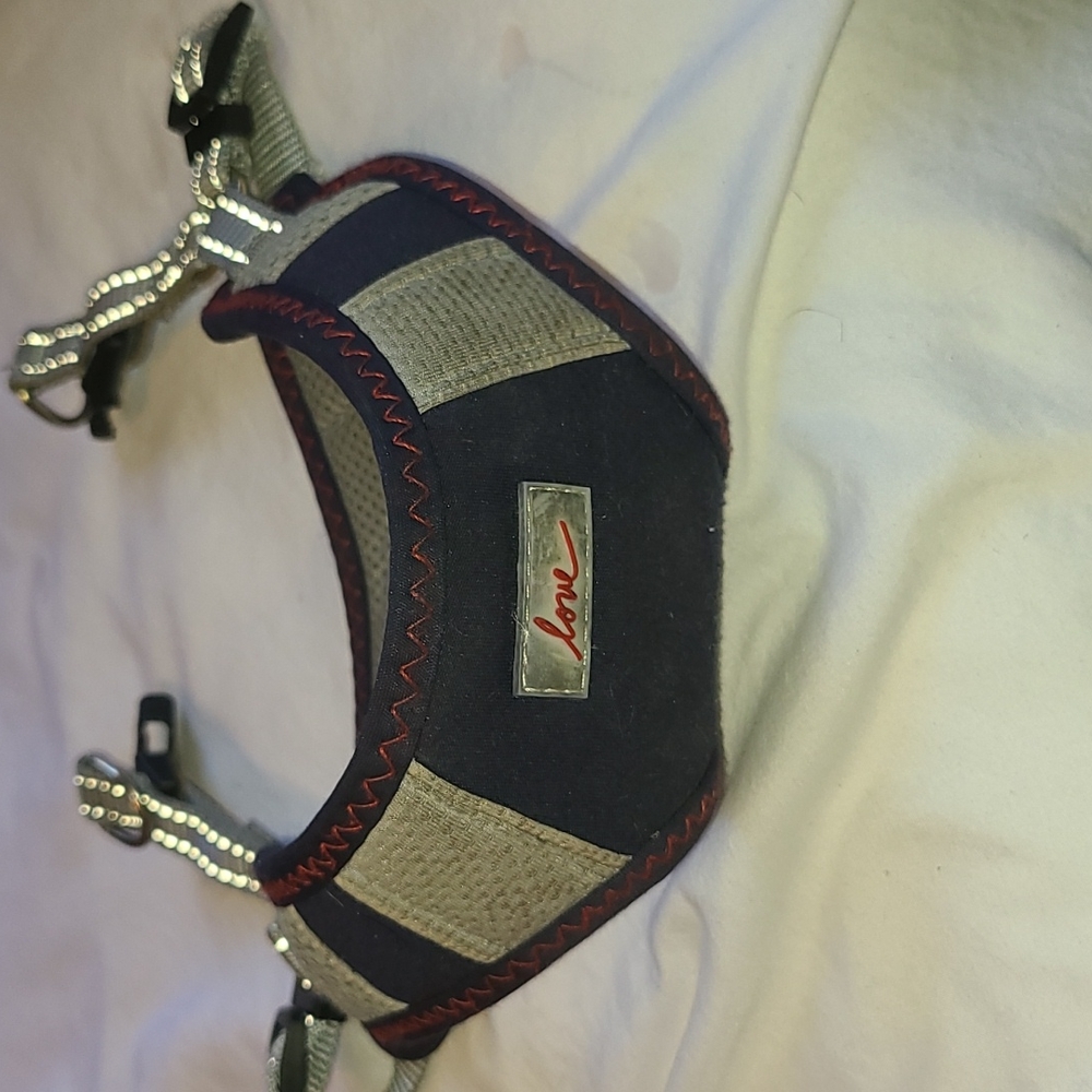 Gray and blue Harness